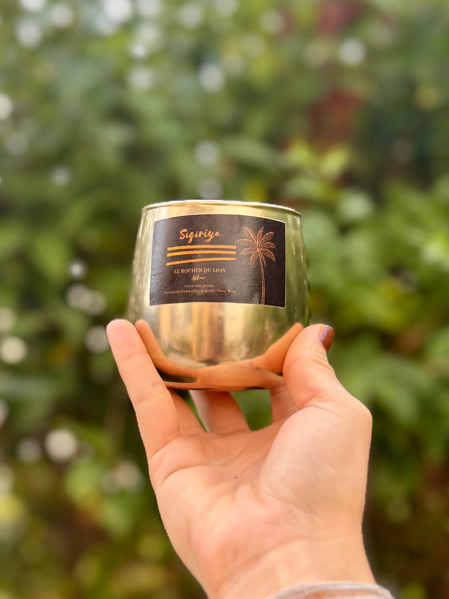 Sigiriya - La chaleur des épices